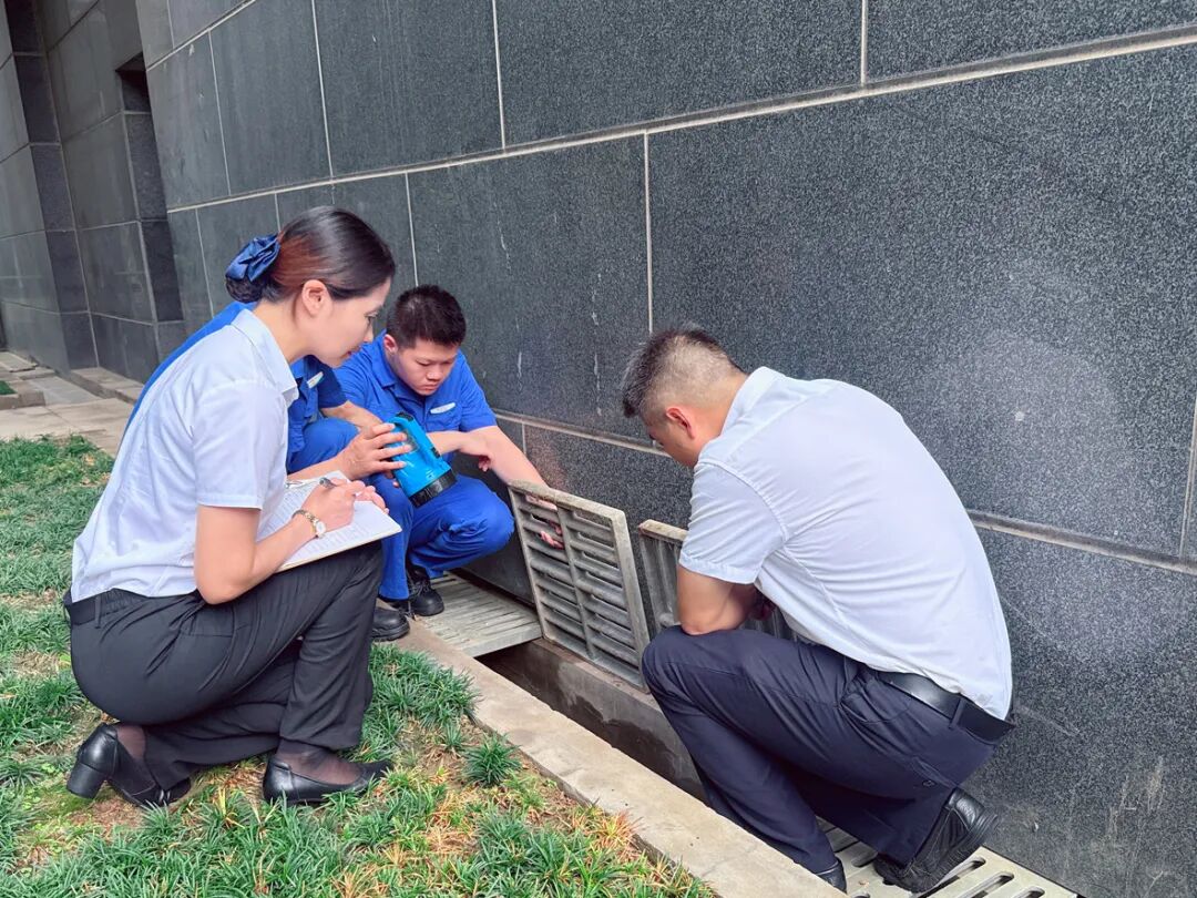 1759222774701682.jpg 18.jpg